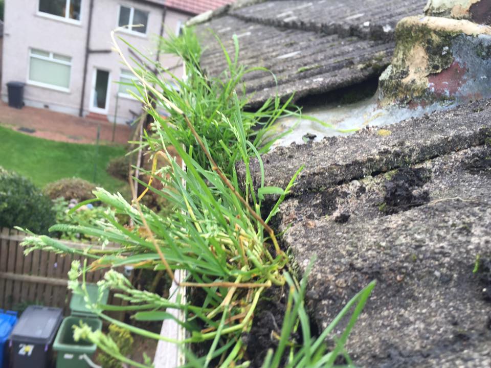 45643834_179641472975936_8545668640412794880_n